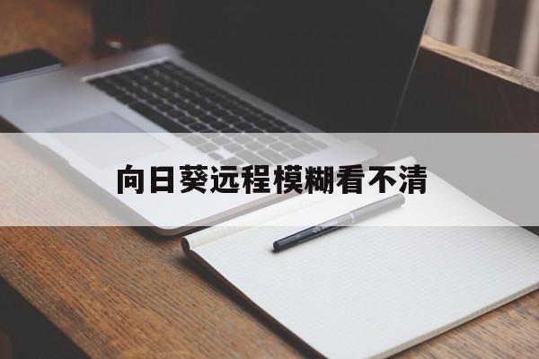 向日葵远程模糊看不清（向日葵远程看不到画面）