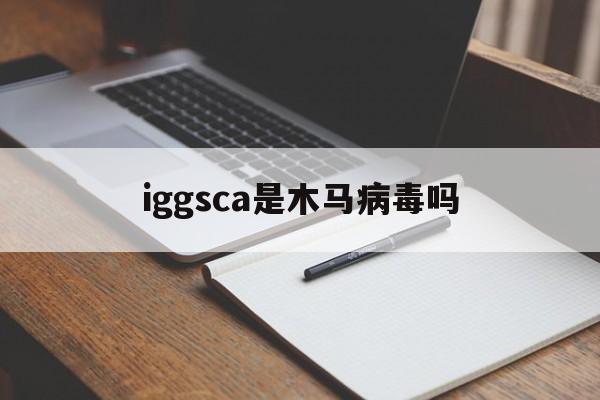 iggsca是木马病毒吗（igg病毒是什么病）