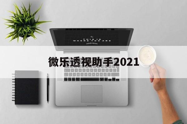 微乐透视助手2021（微乐透视助手ios）