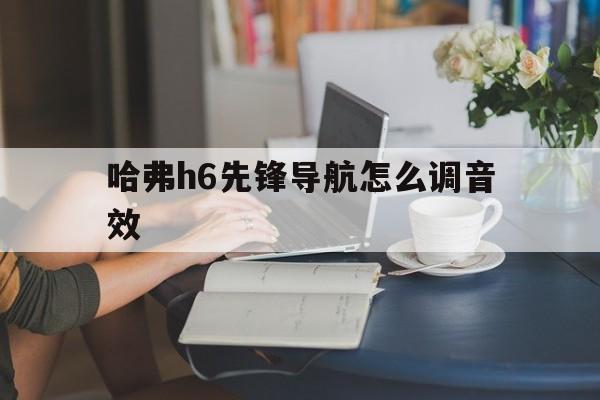 哈弗h6先锋导航怎么调音效（哈弗h6导航可以语音设置吗）