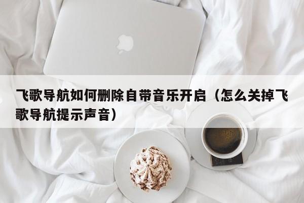 飞歌导航如何删除自带音乐开启（怎么关掉飞歌导航提示声音）