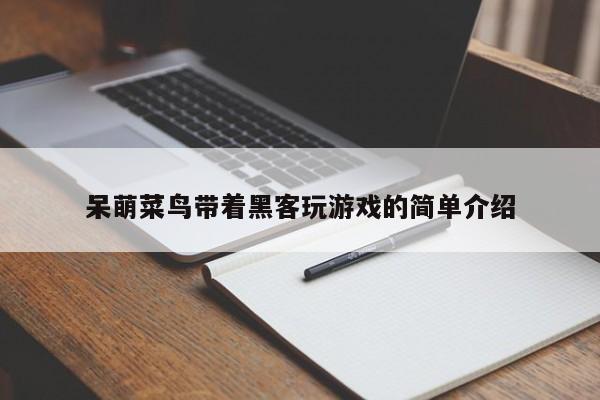 呆萌菜鸟带着黑客玩游戏的简单介绍