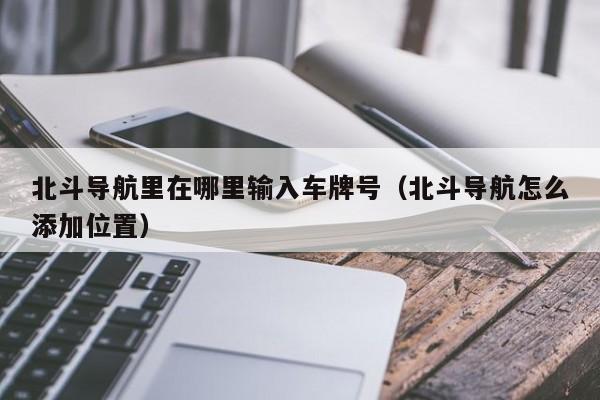 北斗导航里在哪里输入车牌号（北斗导航怎么添加位置）