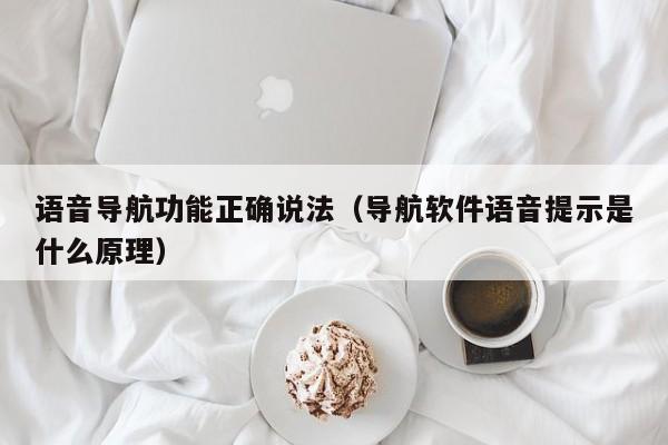 语音导航功能正确说法（导航软件语音提示是什么原理）