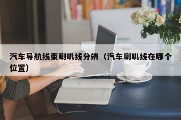 汽车导航线束喇叭线分辨（汽车喇叭线在哪个位置）