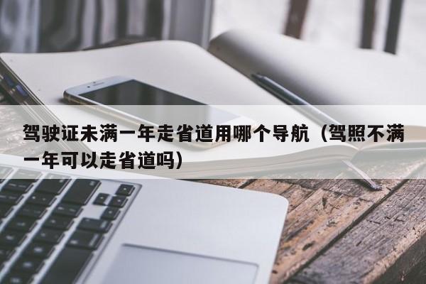 驾驶证未满一年走省道用哪个导航（驾照不满一年可以走省道吗）