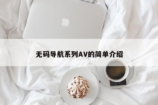 无码导航系列AV的简单介绍