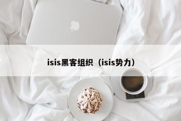 isis黑客组织（isis势力）