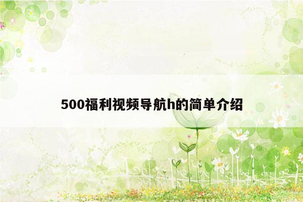 500福利视频导航h的简单介绍