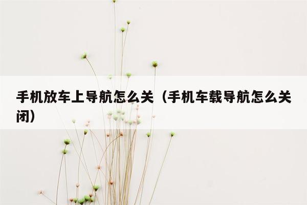 手机放车上导航怎么关（手机车载导航怎么关闭）