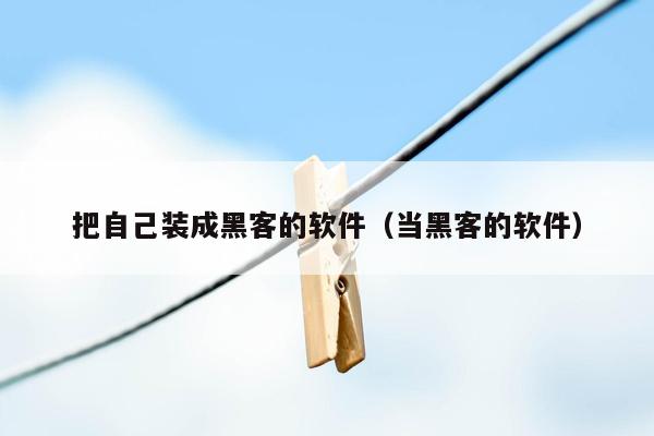 把自己装成黑客的软件（当黑客的软件）