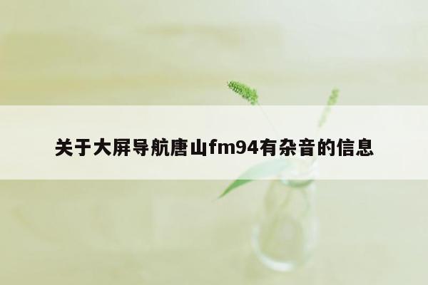 关于大屏导航唐山fm94有杂音的信息