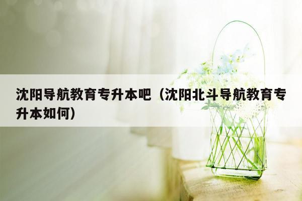 沈阳导航教育专升本吧（沈阳北斗导航教育专升本如何）