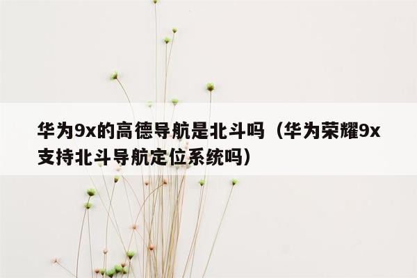 华为9x的高德导航是北斗吗（华为荣耀9x支持北斗导航定位系统吗）