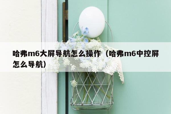 哈弗m6大屏导航怎么操作（哈弗m6中控屏怎么导航）