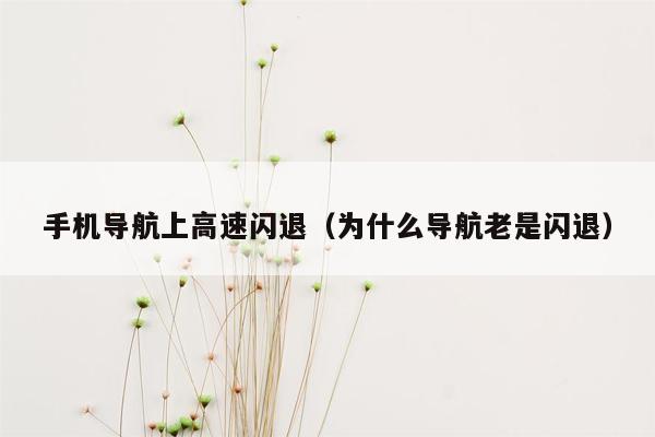 手机导航上高速闪退（为什么导航老是闪退）