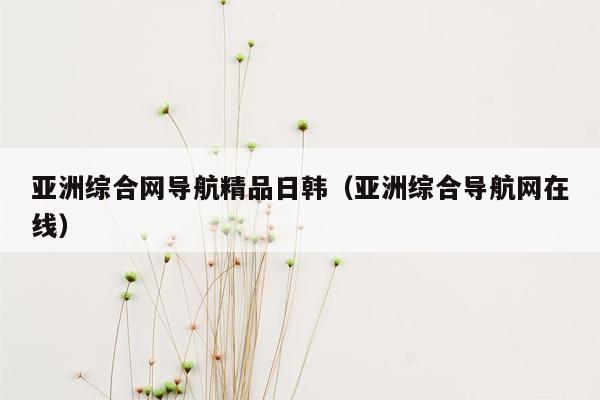 亚洲综合网导航精品日韩（亚洲综合导航网在线）