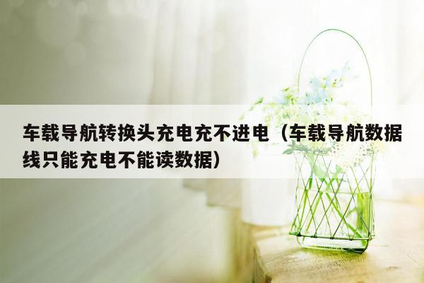 车载导航转换头充电充不进电（车载导航数据线只能充电不能读数据）