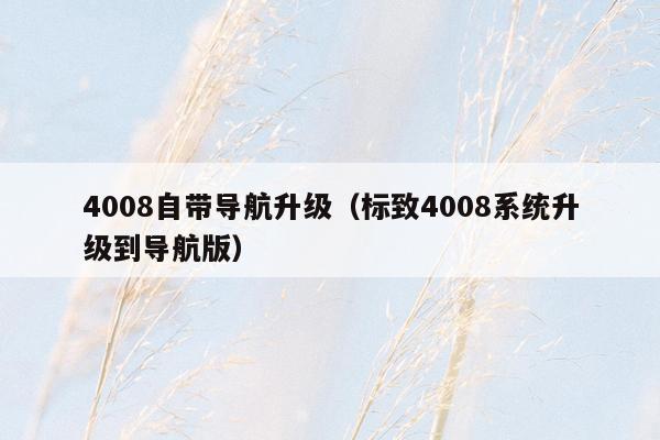 4008自带导航升级（标致4008系统升级到导航版）