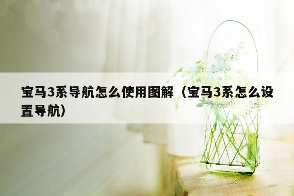 宝马3系导航怎么使用图解（宝马3系怎么设置导航）