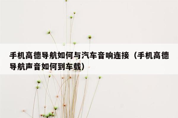 手机高德导航如何与汽车音响连接（手机高德导航声音如何到车载）