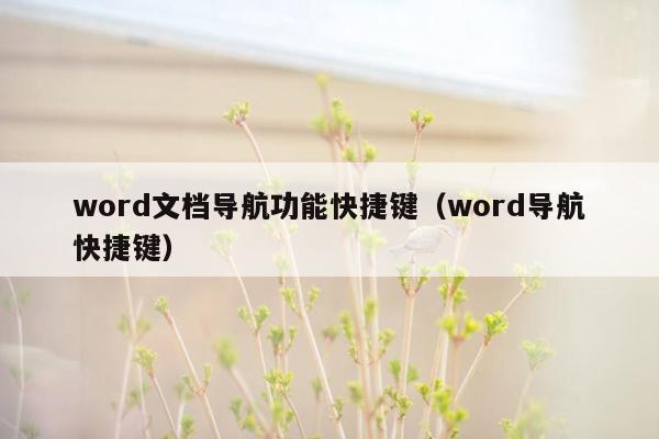 word文档导航功能快捷键（word导航快捷键）