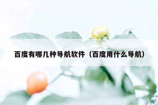 百度有哪几种导航软件（百度用什么导航）