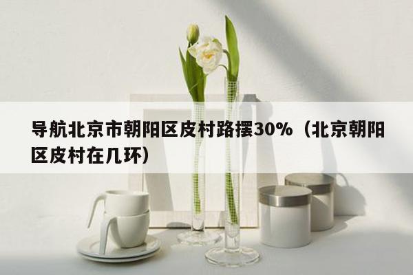 导航北京市朝阳区皮村路摆30%（北京朝阳区皮村在几环）