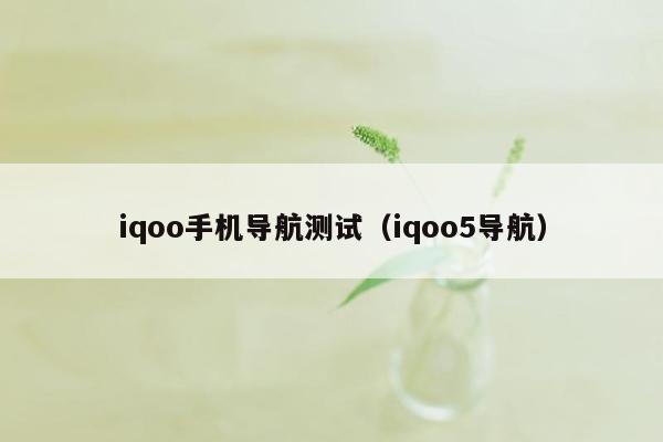 iqoo手机导航测试（iqoo5导航）