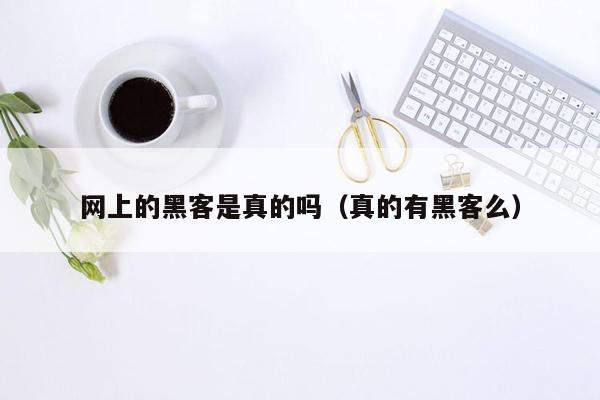 网上的黑客是真的吗（真的有黑客么）