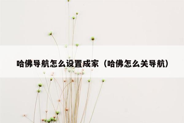 哈佛导航怎么设置成家（哈佛怎么关导航）