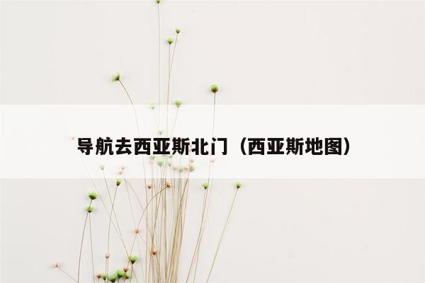 导航去西亚斯北门（西亚斯地图）