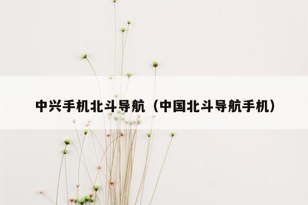 中兴手机北斗导航（中国北斗导航手机）