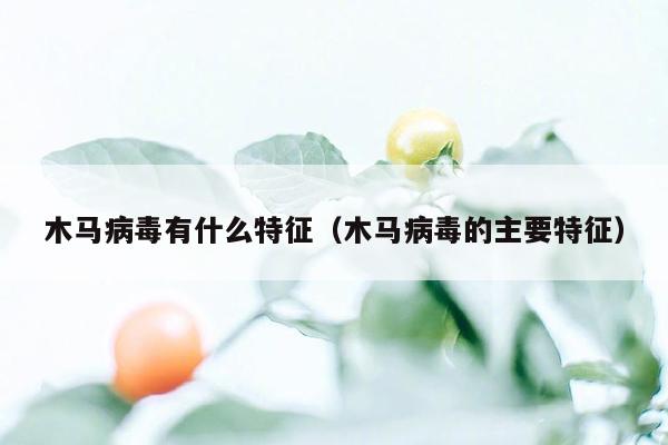 木马病毒有什么特征（木马病毒的主要特征）