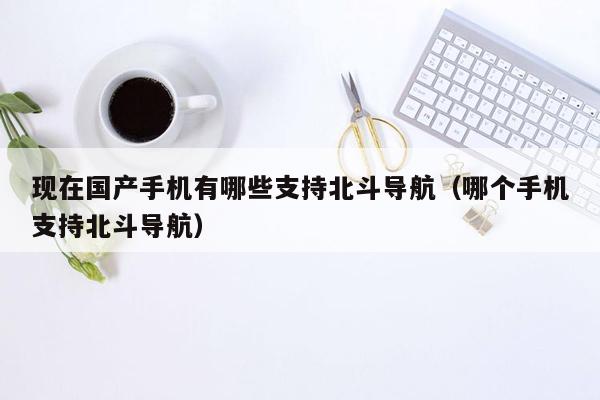 现在国产手机有哪些支持北斗导航（哪个手机支持北斗导航）