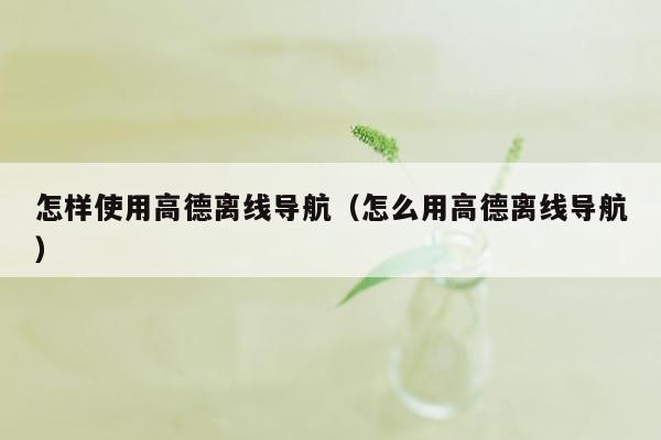 怎样使用高德离线导航（怎么用高德离线导航）