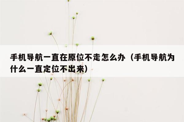 手机导航一直在原位不走怎么办（手机导航为什么一直定位不出来）