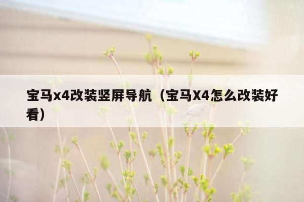 宝马x4改装竖屏导航（宝马X4怎么改装好看）