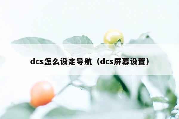 dcs怎么设定导航（dcs屏幕设置）