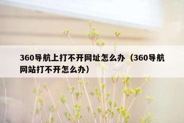 360导航上打不开网址怎么办（360导航网站打不开怎么办）