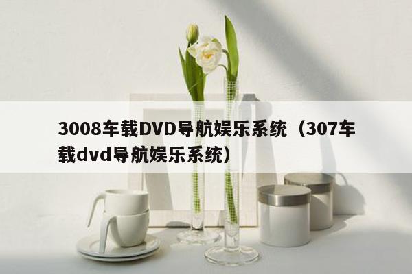 3008车载DVD导航娱乐系统（307车载dvd导航娱乐系统）