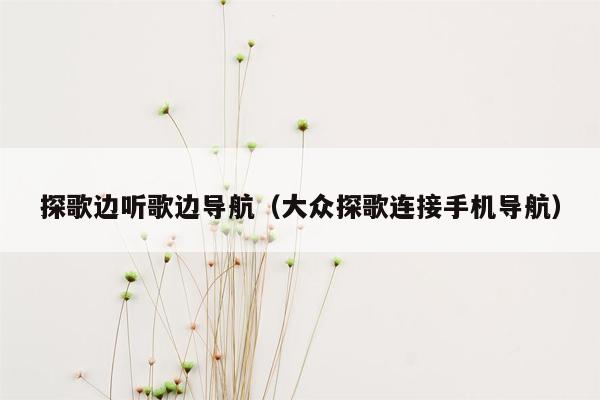 探歌边听歌边导航（大众探歌连接手机导航）