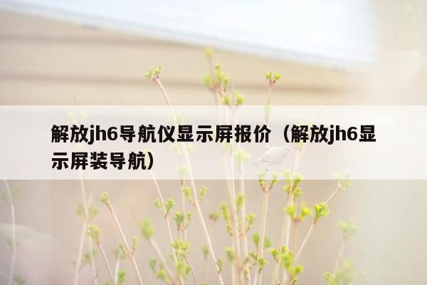 解放jh6导航仪显示屏报价（解放jh6显示屏装导航）