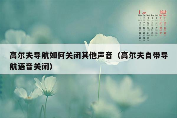 高尔夫导航如何关闭其他声音（高尔夫自带导航语音关闭）