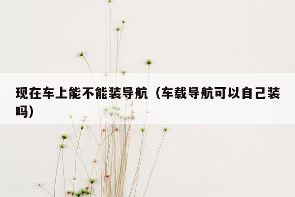 现在车上能不能装导航（车载导航可以自己装吗）