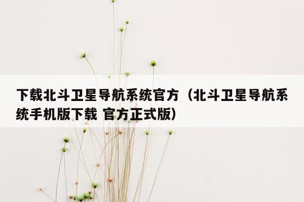 下载北斗卫星导航系统官方（北斗卫星导航系统手机版下载 官方正式版）