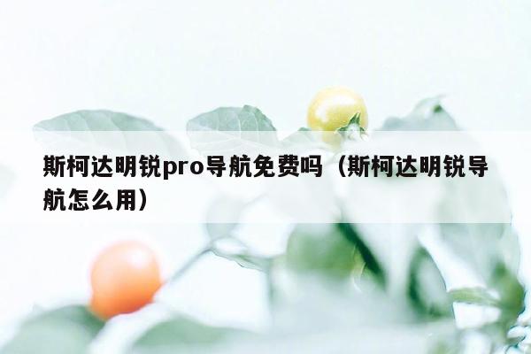 斯柯达明锐pro导航免费吗（斯柯达明锐导航怎么用）