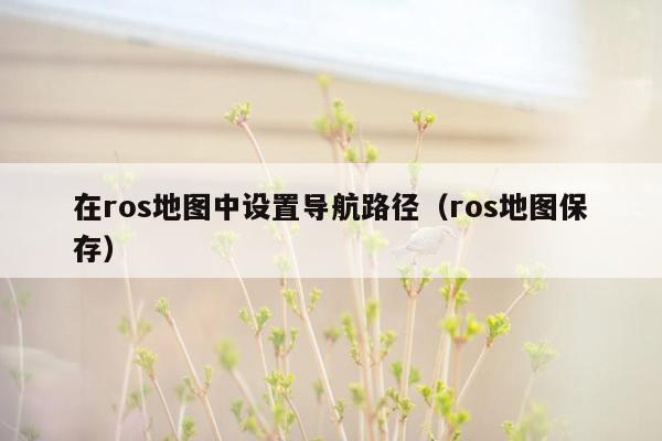 在ros地图中设置导航路径（ros地图保存）