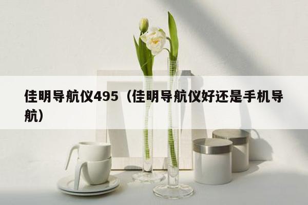 佳明导航仪495（佳明导航仪好还是手机导航）