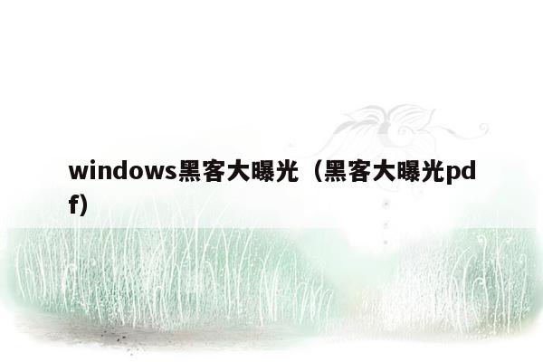 windows黑客大曝光（黑客大曝光pdf）